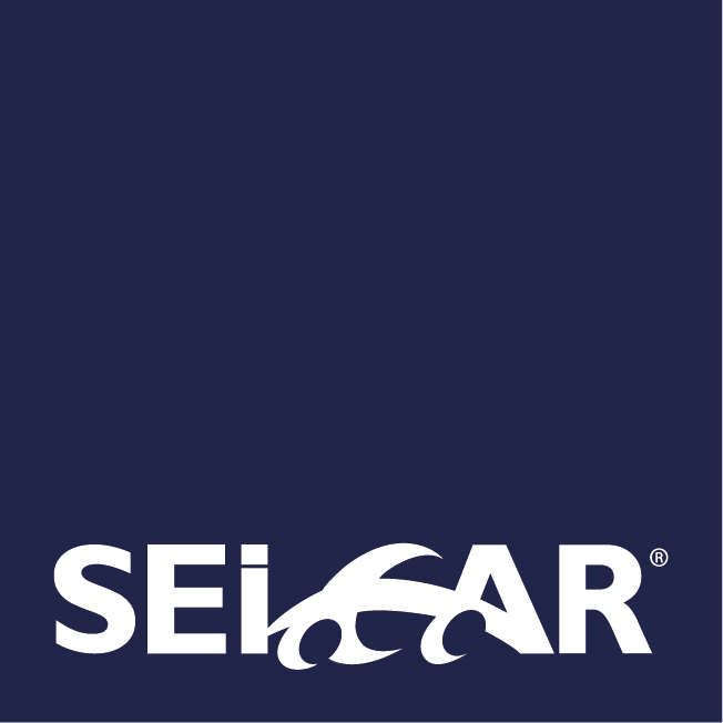 seicar.jpg
